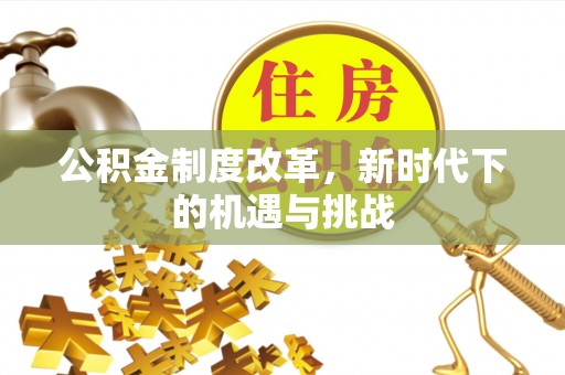 通山公积金制度改革，新时代下的机遇与挑战