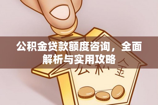 通山公积金贷款额度咨询，全面解析与实用攻略