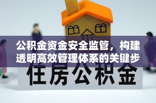 通山公积金资金安全监管，构建透明高效管理体系的关键步骤